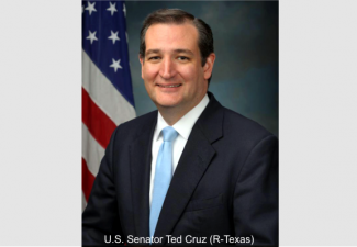 Texas Senator Ted Cruz (R)