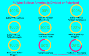 Divided America SurveyMonkey